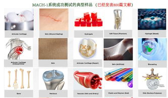 生物軟組織多尺度力學(xué)特性測(cè)試分析系統(tǒng),組織材料多尺度力學(xué)特性測(cè)試分析系統(tǒng)