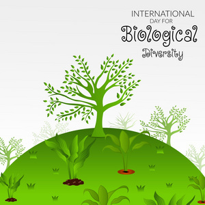 植物區(qū)系研究工業(yè)圖片-植物區(qū)系研究工業(yè)素材-植物區(qū)系研究工業(yè)插畫(huà)-攝圖新視界