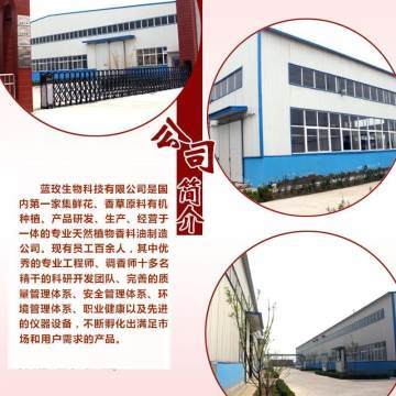 天竺葵純露 深層凈化肌膚，煥活水潤(rùn)光彩——藍(lán)玫丫廠家直銷美容院裝專業(yè)解析